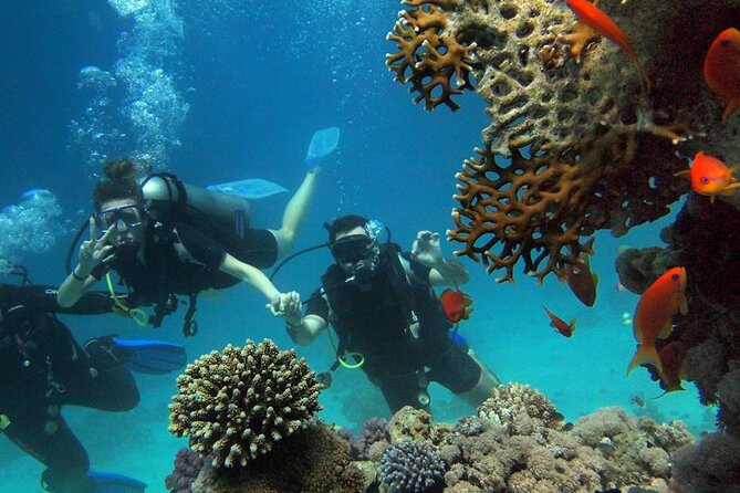 Side Scuba Diving Adventure With Lunch & Roundtrip Transfer - Inclusions