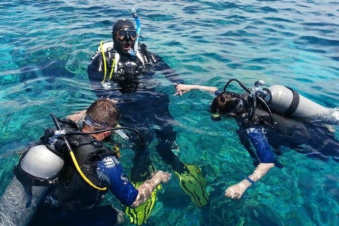Side Scuba Diving Adventure With Lunch & Roundtrip Transfer - Cancellation Policy