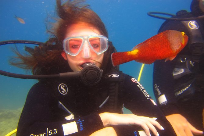 Side: Scuba Diving Experience - Group Size Limitations