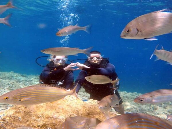 Side Scuba Diving: Explore Underwater Marvels - Whats Included in the Tour