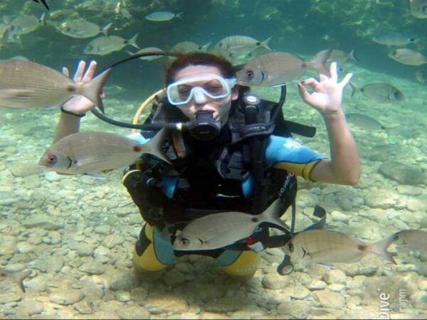 Side Scuba Diving: Explore Underwater Marvels - Customer Reviews and Feedback