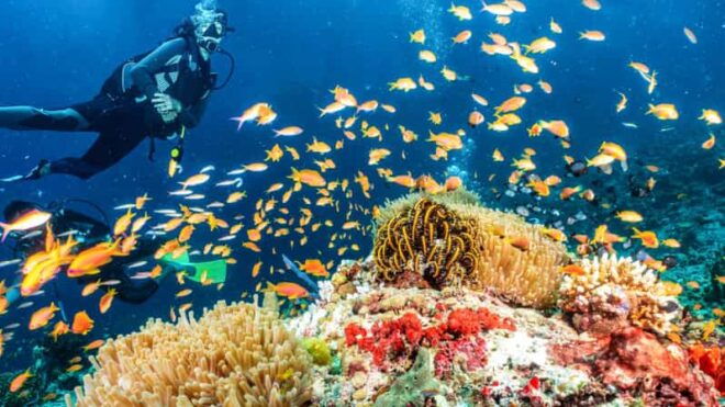 Side: Scuba Diving Tour Journey To The Depths Of The Blue - Diving Experience Highlights