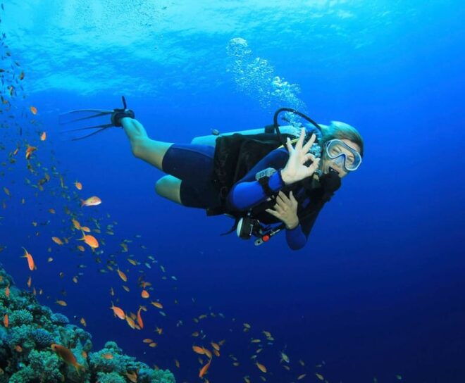 Side: Scuba Diving Tour Journey To The Depths Of The Blue - Essential Items to Bring