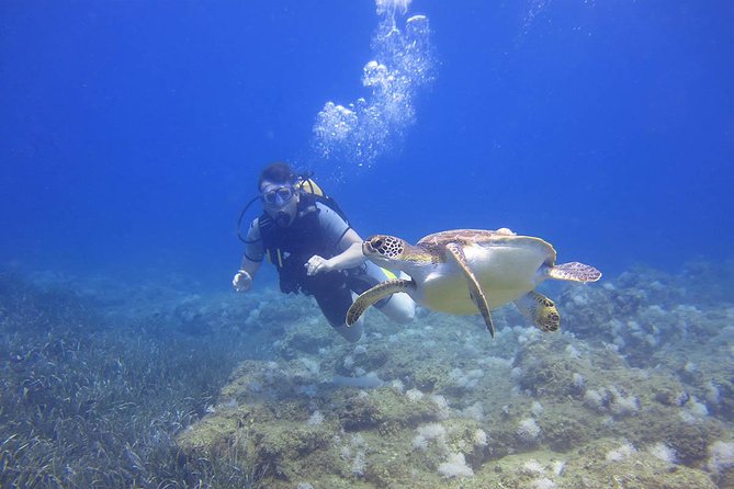 Side: Scuba Diving Under Water Museum - Exploring the Underwater Museum