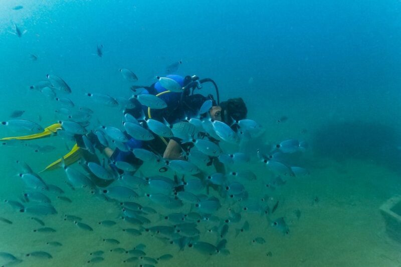 Side: Scuba Diving, Underwater Museum, 2 Dives incl. Lunch - Frequently Asked Questions