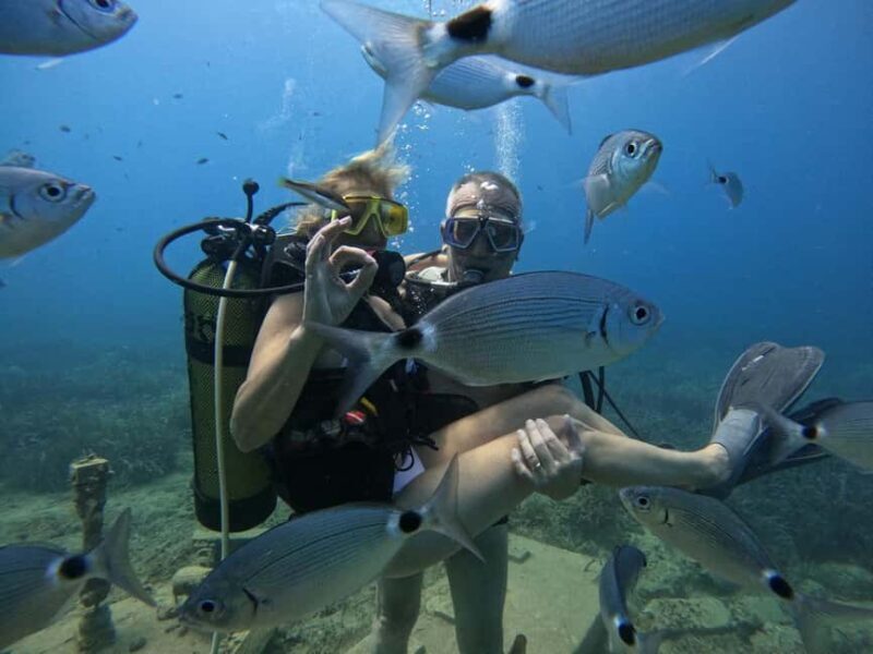 Side: Scuba Diving with Expert Diving Option - The Sum Up