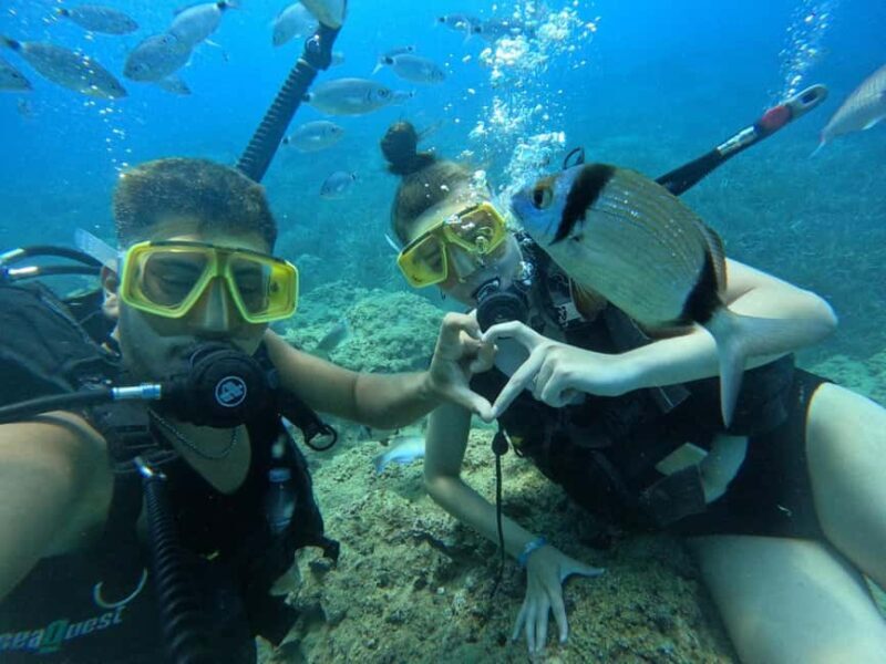 Side: Scuba Diving with Expert Diving Option - FAQ