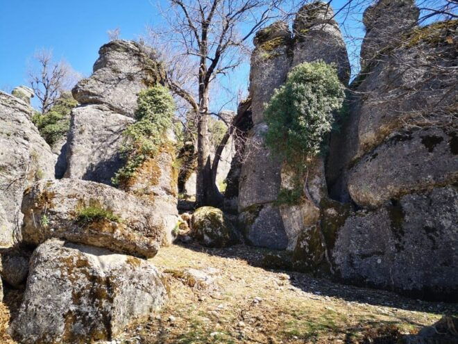 SideAlanya: Jeep Safari, Tazi Canyon, and Selge Theater Tour - Ancient Selge Theater