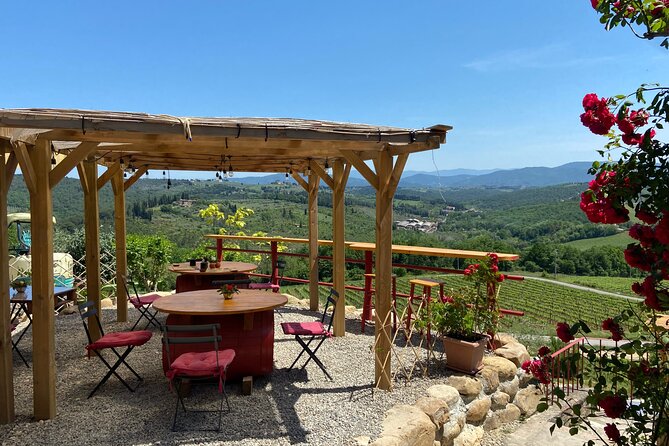 Sidecar Tour in Florence and Chianti With Wine Tasting and Lunch - Important Information