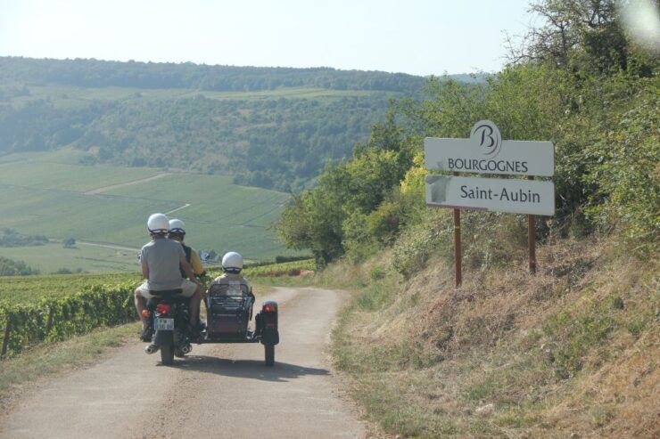 Sidecar Tour With Tasting a Glass of Wine in the Vineyard - Good To Know