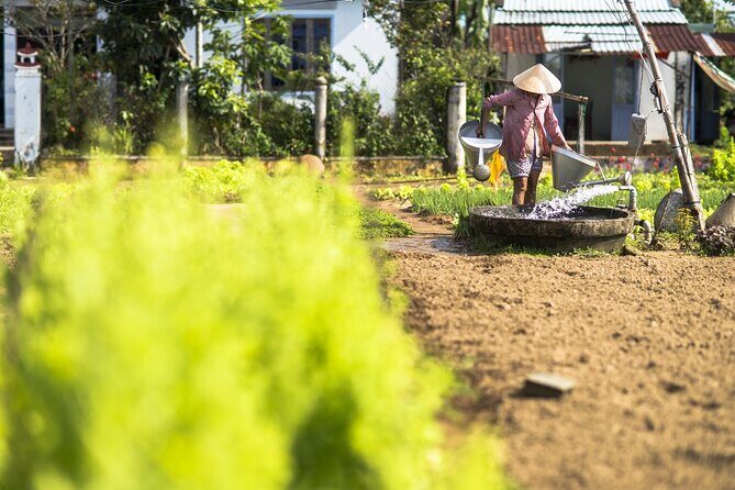 Sidecar Trip to the Countryside of Hoi An - Who Will Love This Experience?