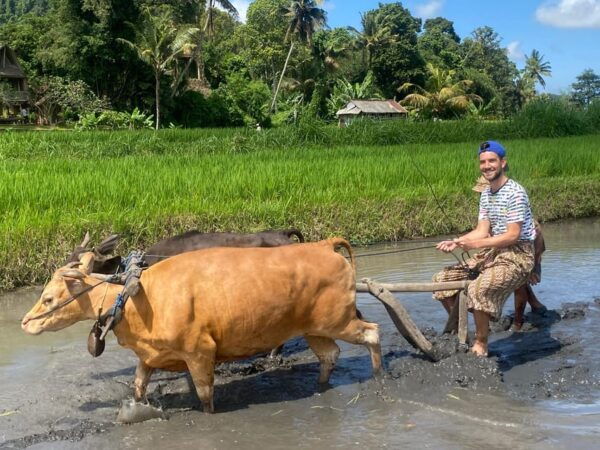 Sidemen: Balinese Traditional Activities - Lunch and Refreshments