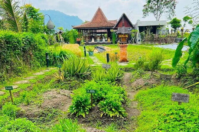 Sidemen Highlights Day Tour - A Deep Dive into the Sidemen Highlights Day Tour