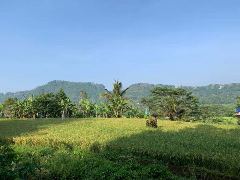 Sidemen: Learning Balinese Traditions with Youth Community - Practical Details and Tips