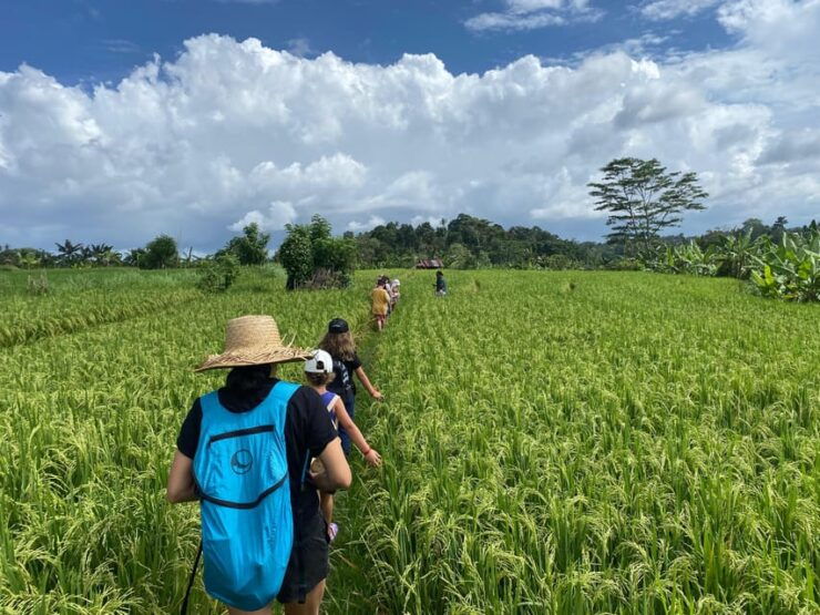 Sidemen: Rice Terraces and Hidden Waterfall - Key Points