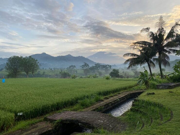 Sidemen: Rice Terraces and Hidden Waterfall - Itinerary Highlights