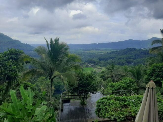 Sidemen: Rice Terraces and Hidden Waterfall - Rice Terraces Experience