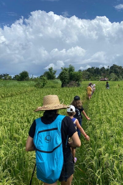 Sidemen: Rice Terraces and Hidden Waterfall - Whats Included in the Tour
