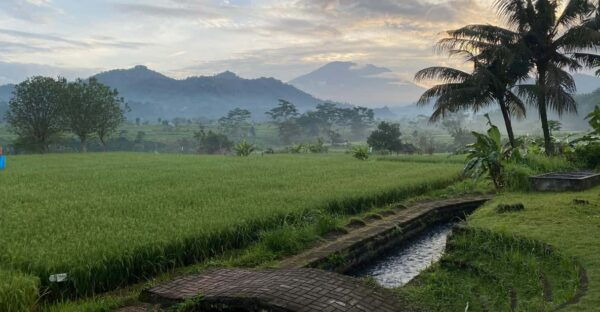 Sidemen: Rice Terraces and Hidden Waterfall - Questions You May Have