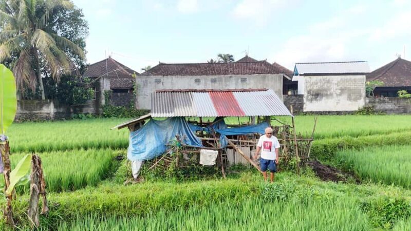 Sidemen rice terraces trek and local village walk - An In-Depth Look at the Sidemen Rice Terraces Trek