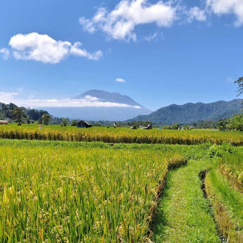 Sidemen: Rice Terraces, Waterfall, & Village Tour - Good To Know
