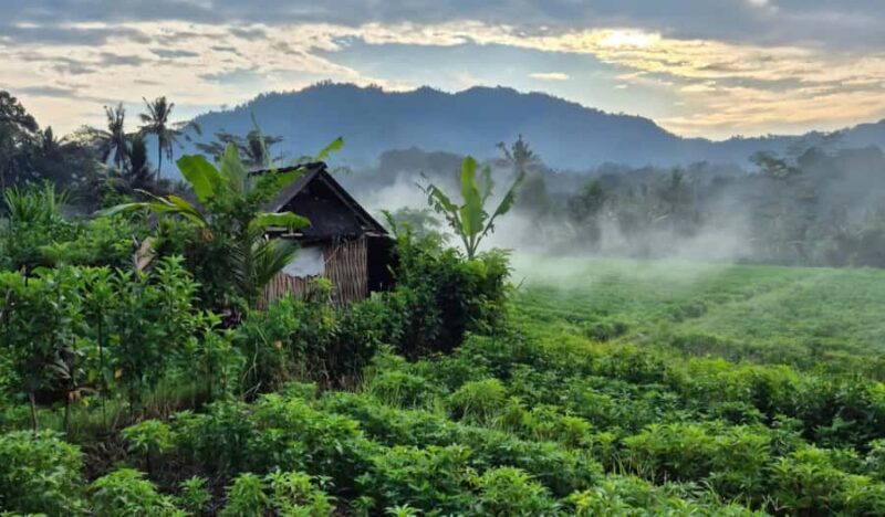 Sidemen Tour with Optional Koli Koli Day Club Visit - Final Thoughts