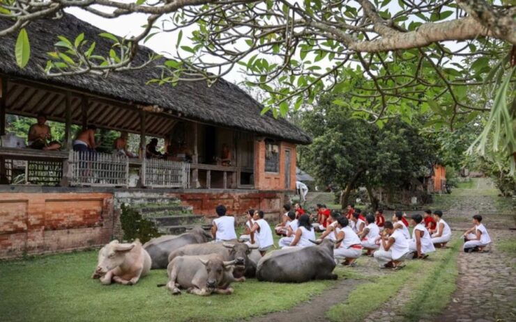 Sidemen: Traditional Villages, Salt Farm & Tirta Gangga Tour - Good To Know