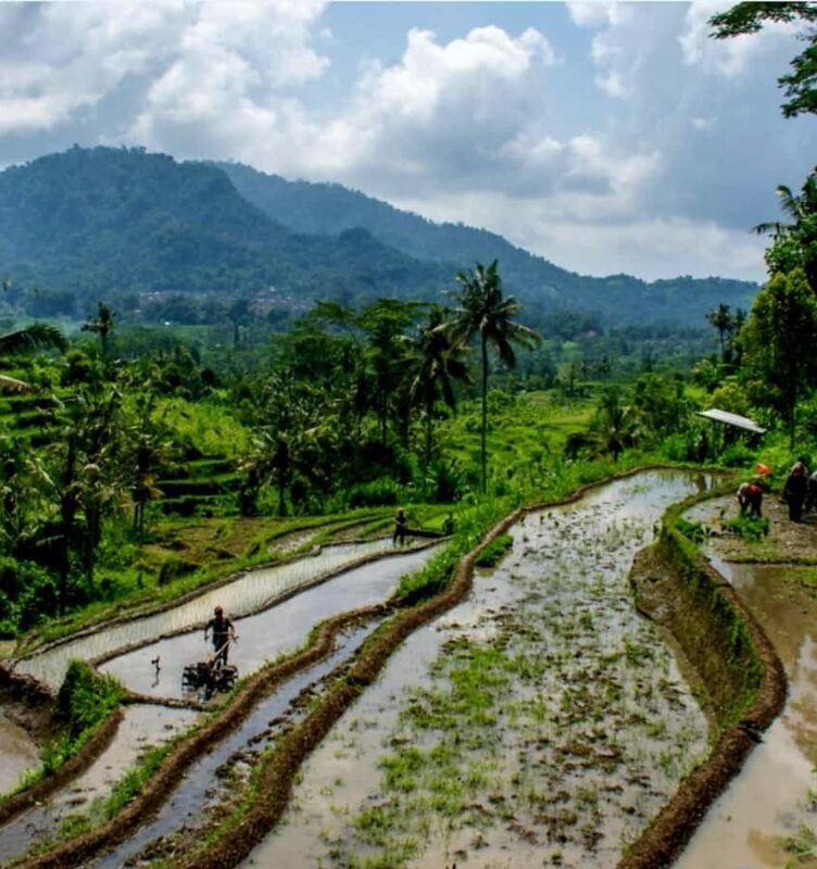 Sidemen Trekking: A Walk from a Different Perspective - A Deep Dive into the Sidemen Trekking Experience