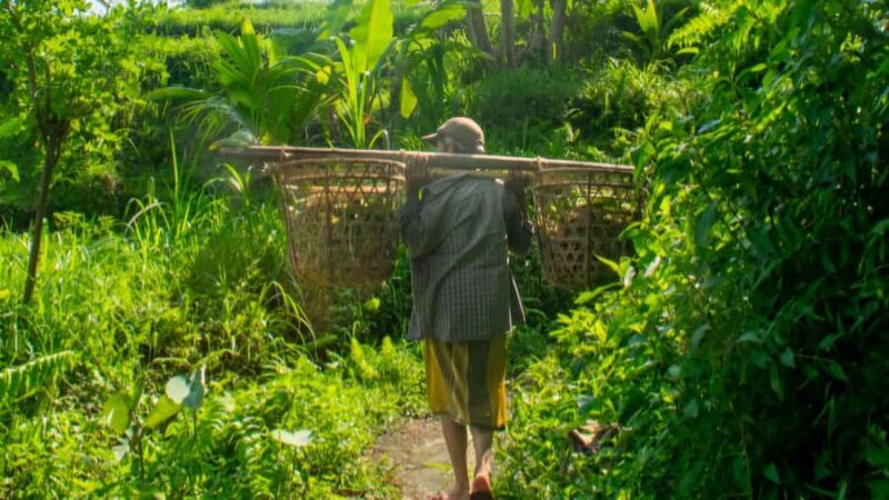 Sidemen Trekking: A Walk from a Different Perspective - FAQs