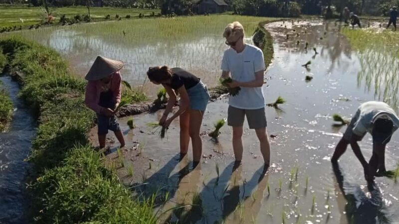 Sidemen Trekking: A Walk from a Different Perspective - Who Will Love This Tour?