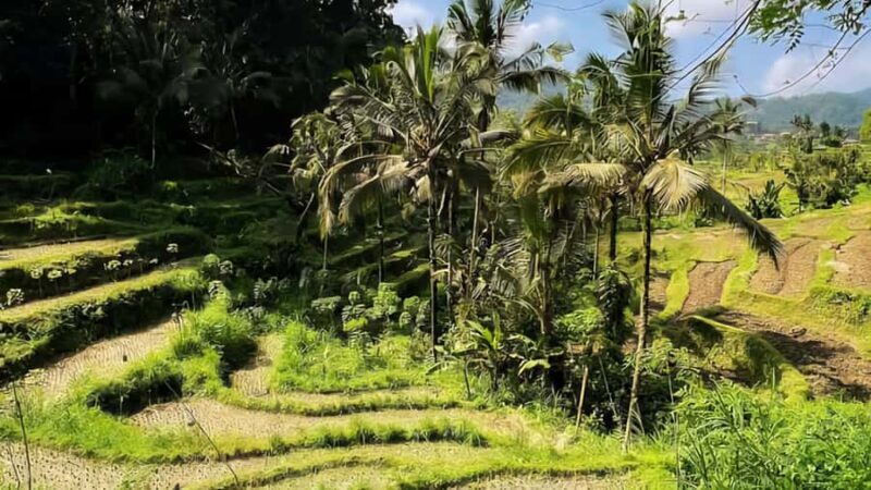 Sidemen Trekking: A Walk from a Different Perspective - Final Thoughts