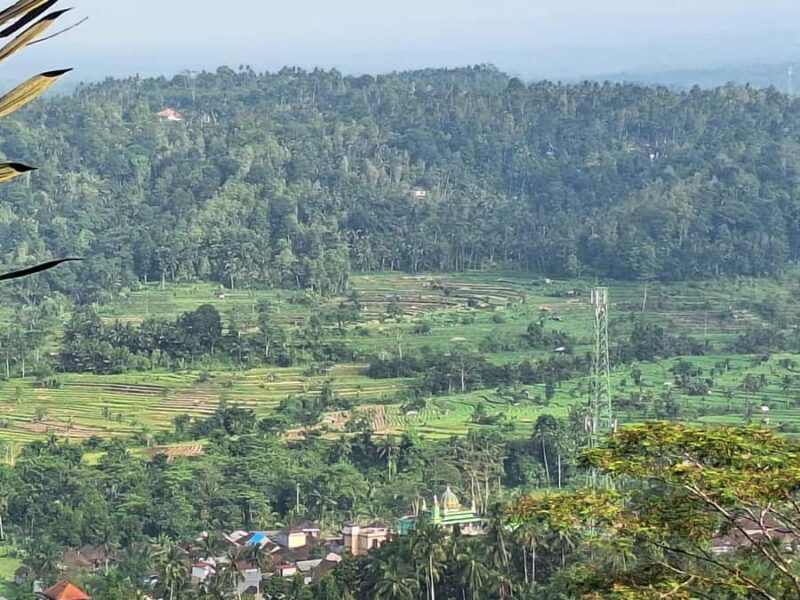 Sidemen Trekking: Dwangga Hill Hike in Sidemen (Peak 800M) - Good To Know