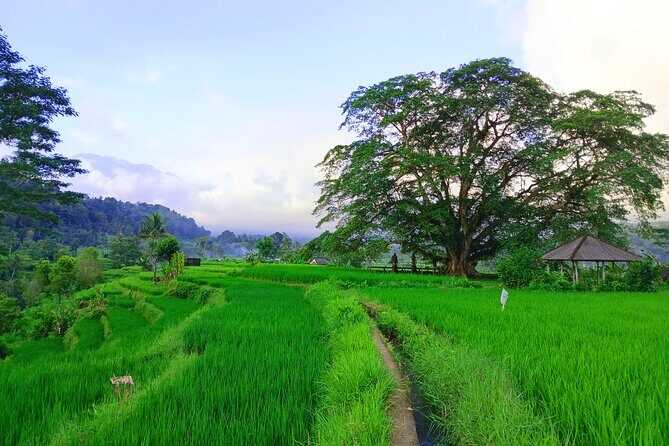 Sidemen Trekking with Cultural Encounters and Nature Views - FAQ