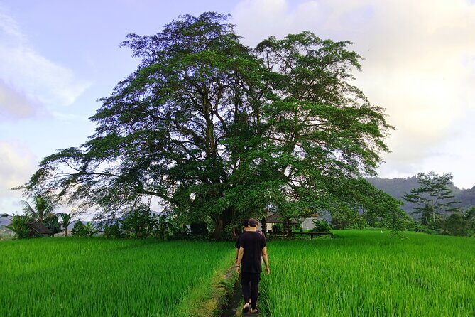 Sidemen Trekking with Cultural Encounters and Nature Views - Why This Tour Stands Out