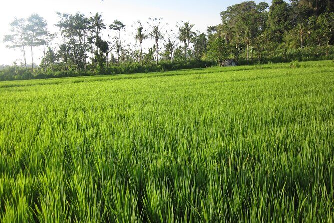 Sidemen Trekking with Cultural Encounters and Nature Views - A Day in the Life of Sidemen: The Itinerary in Detail