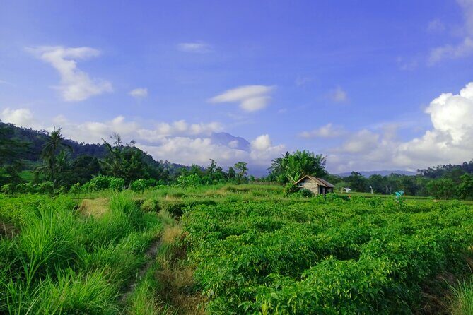 Sidemen Trekking with Cultural Encounters and Nature Views - Potential Drawbacks or Considerations