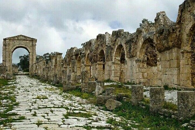 Sidon, Maghdouche, and Tyre - Logistics and Accessibility
