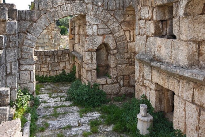 Sidon, Tyre & Maghdouche Day Trip - With Lunch (4G on Board) - Visitor Experiences and Highlights