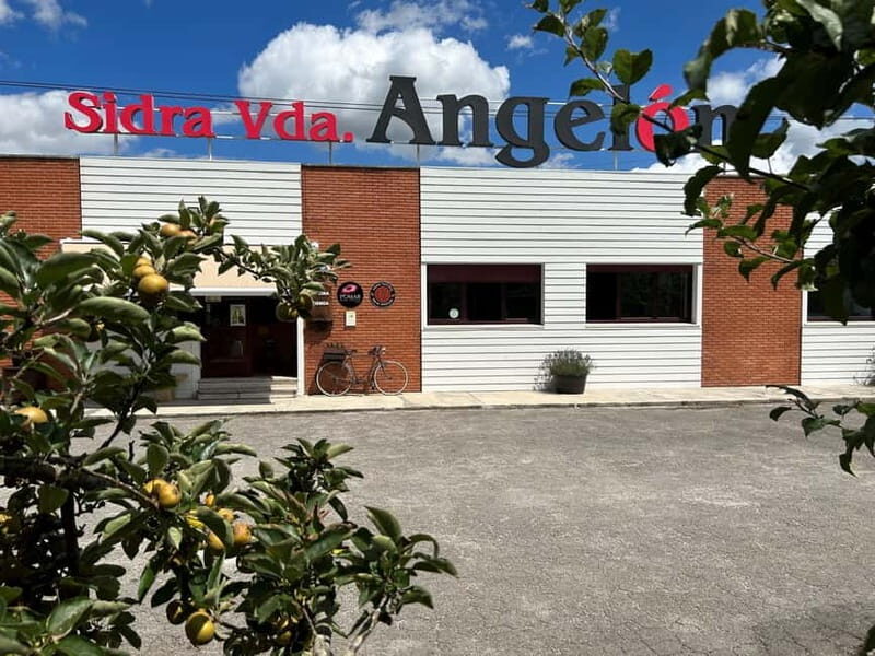 Sidra Vda. de Angelón: guided visit to a cider mill with tasting - Good To Know