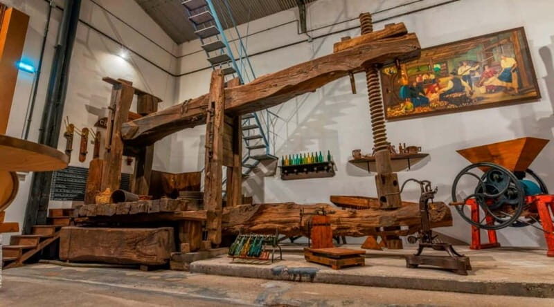 Sidra Vda. de Angelón: guided visit to a cider mill with tasting - What to Expect on Your Visit to Sidra Vda. de Angelón