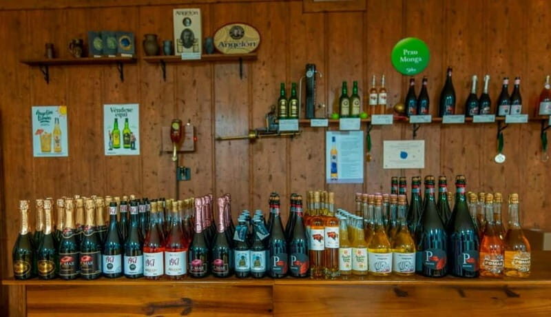 Sidra Vda. de Angelón: guided visit to a cider mill with tasting - The Authenticity and Experience