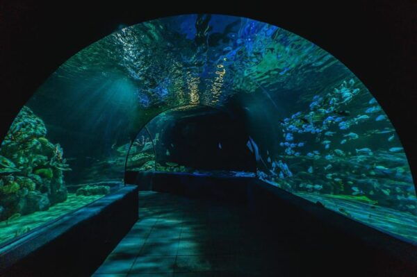 Siem Reab: Angkor Wildlife & Aquarium - Inclusions of the Tour