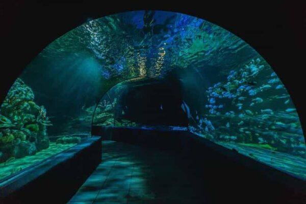 Siem Reab: Angkor Wildlife & Aquarium - Tips for Visitors