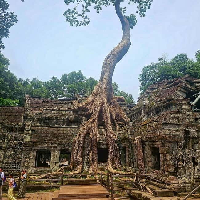 Siem Reap: 1-day group tour of Angkor with Spanish tour guide - Good To Know