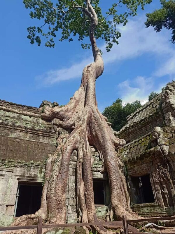 Siem Reap: 2-Day Angkor Wat and Countryside Temples Tour - Good To Know