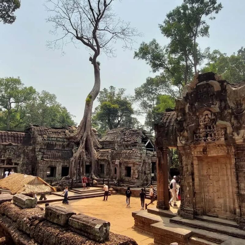 Siem Reap: 3 Top Angkor Wat, Ta Prohm & Bayon Afternoon Tour - The Sum Up