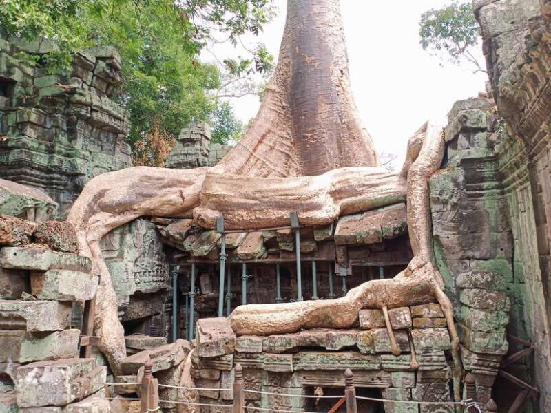 Siem Reap: 4 Hour-Ta Prohm and Banteay Kdei Guided Tour - Why This Tour Works Well