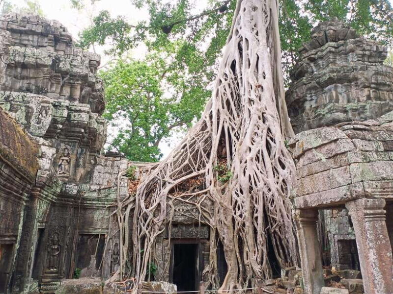 Siem Reap: 4 Hour-Ta Prohm and Banteay Kdei Guided Tour - Final Thoughts: Is This Tour Right for You?
