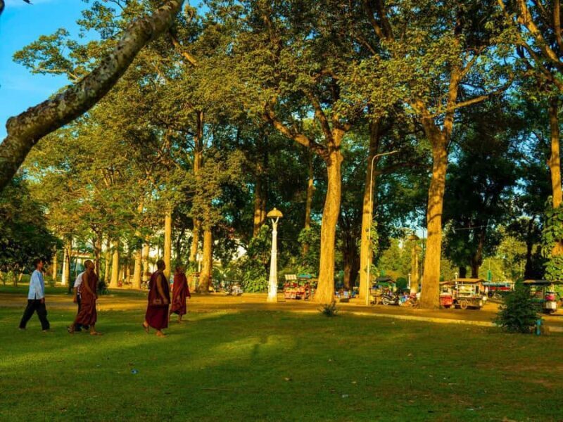 Siem Reap: Afternoon APOPO Rats Tour + Phare Circus Option - Who Will Love This Tour?