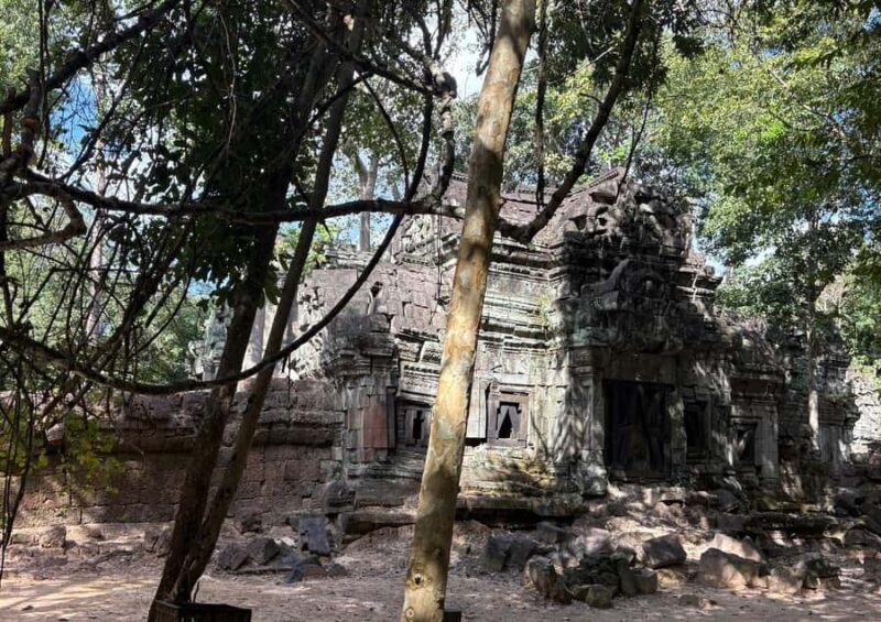 Siem Reap: Agroecological Farm Tour with Meals & Pool - Who Is This Tour Best For?